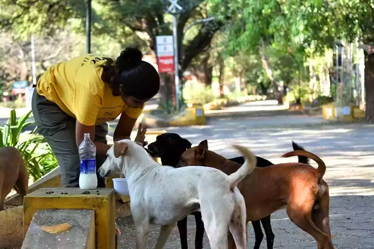 Help to Old Age People